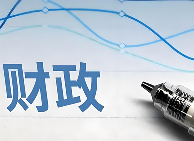 2025年财政政策执行情况报告 政采政策效能显著提升